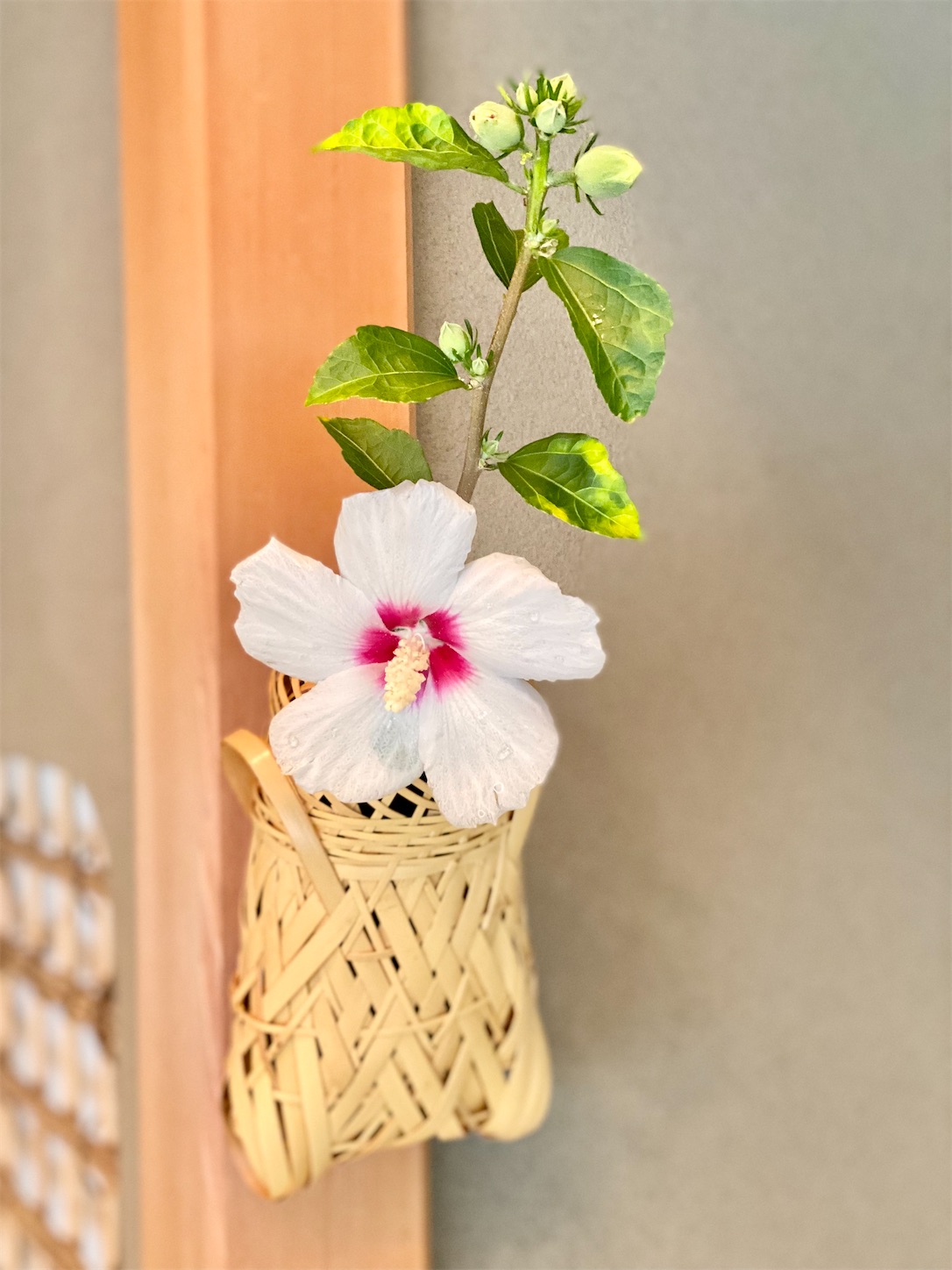 f:id:chanoyu:20210905122854j:image f:id:chanoyu:20210905122854j:image