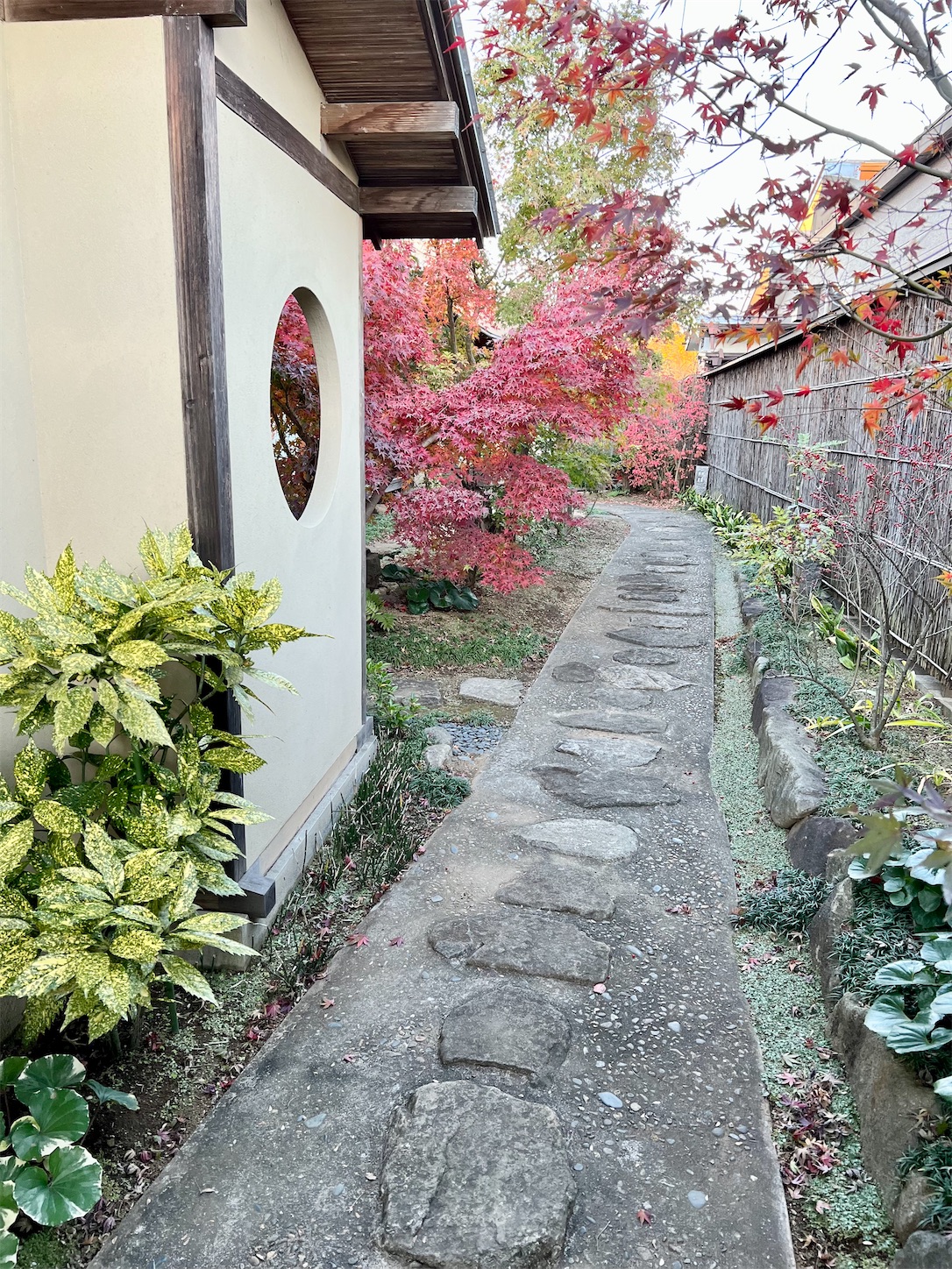 f:id:chanoyu:20211203034112j:image