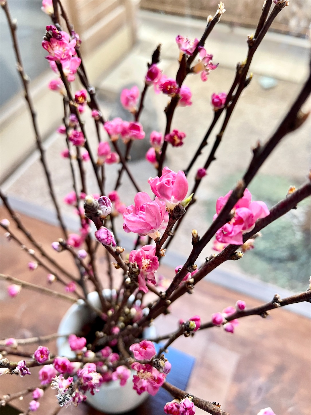 f:id:chanoyu:20220224221128j:image f:id:chanoyu:20220224221128j:image
