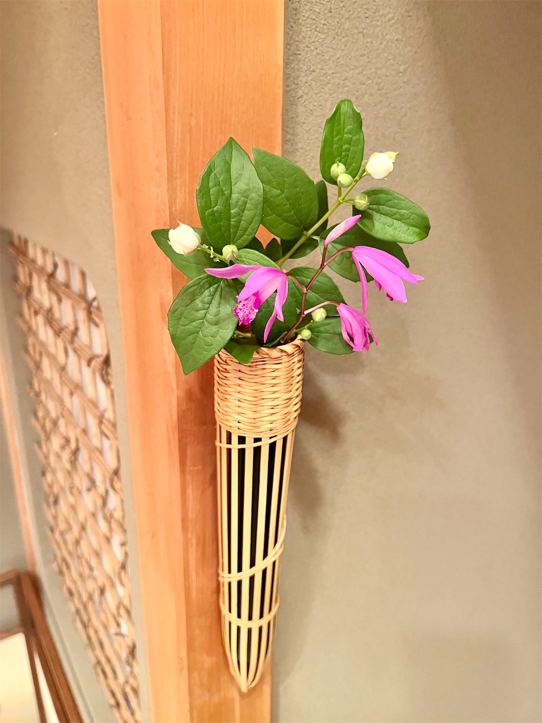 初風炉と庭の茶花 - はなもも茶道日記