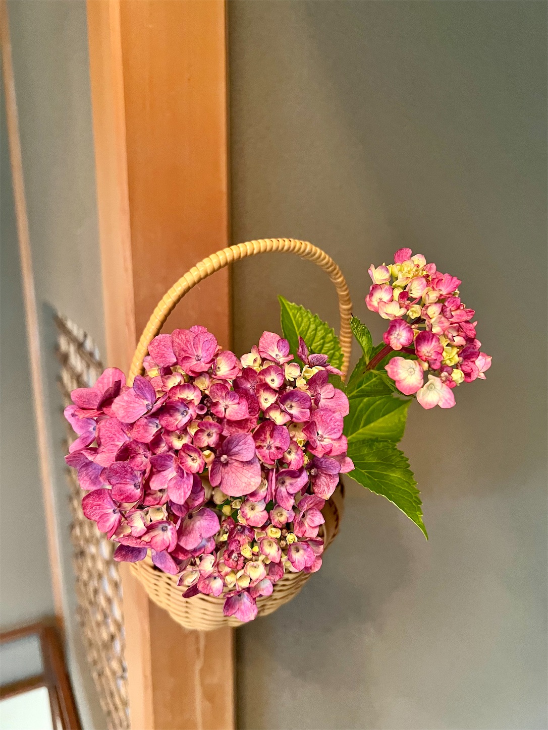f:id:chanoyu:20220706175144j:image f:id:chanoyu:20220706175144j:image