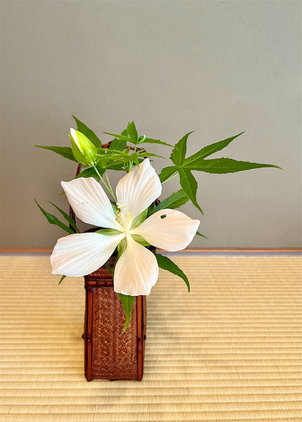 f:id:chanoyu:20220825181502j:image f:id:chanoyu:20220825181502j:image