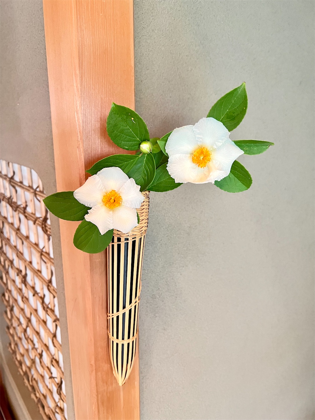 f:id:chanoyu:20230615125256j:image