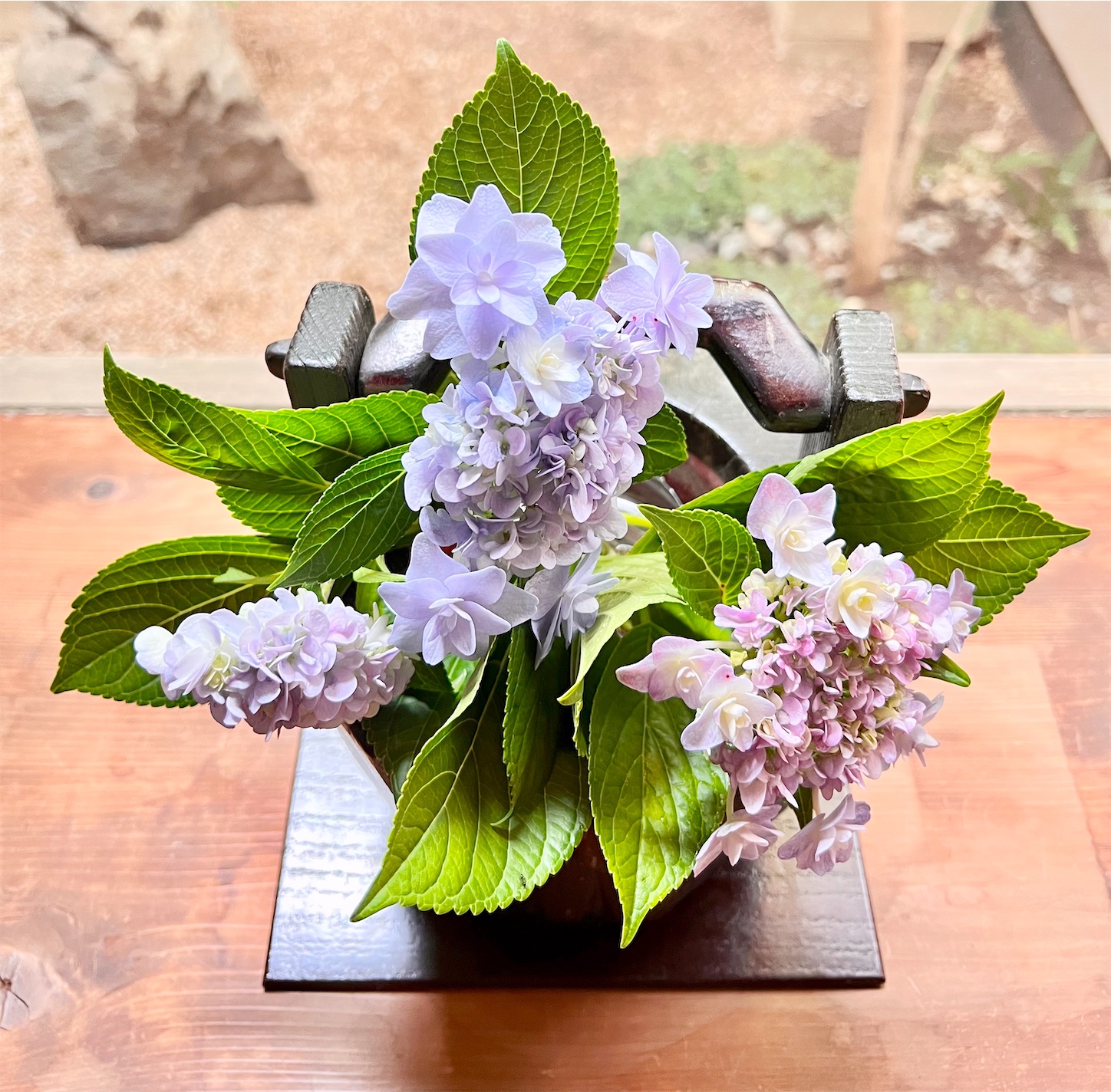 f:id:chanoyu:20230615125322j:image