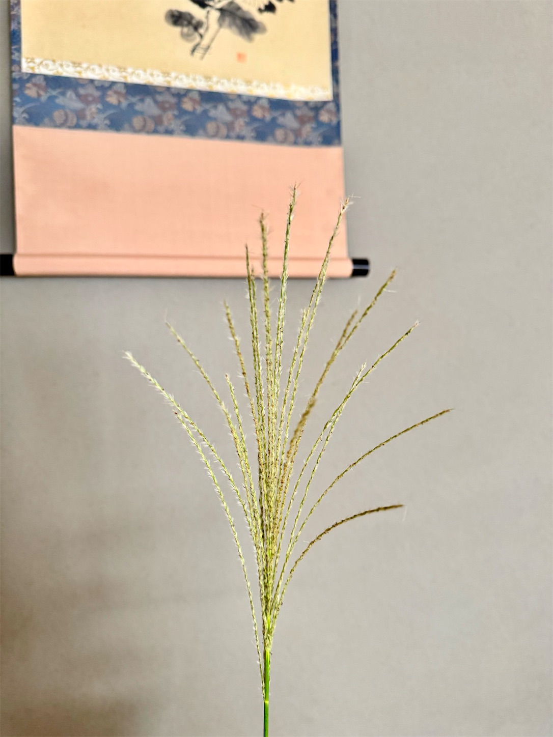 f:id:chanoyu:20231023122848j:image f:id:chanoyu:20231023122848j:image