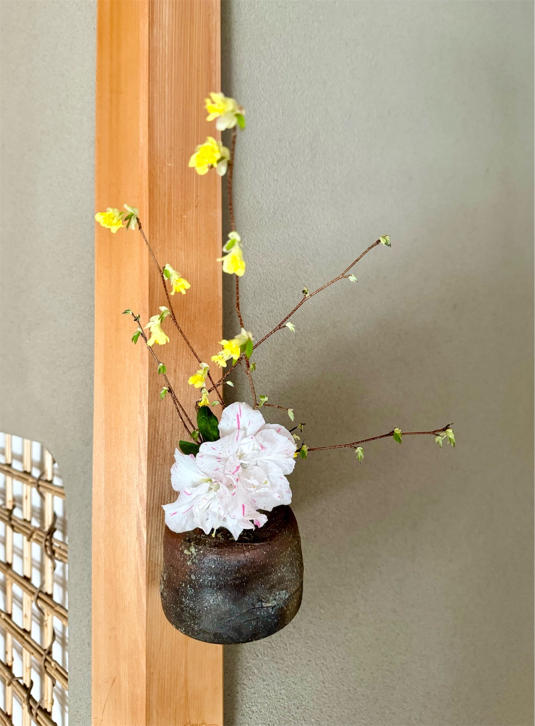 f:id:chanoyu:20240519161335j:image f:id:chanoyu:20240519161335j:image