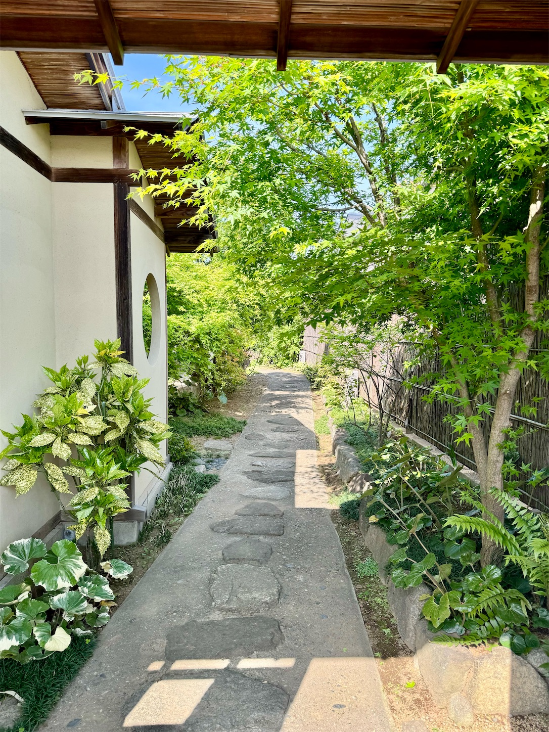 f:id:chanoyu:20240519173643j:image