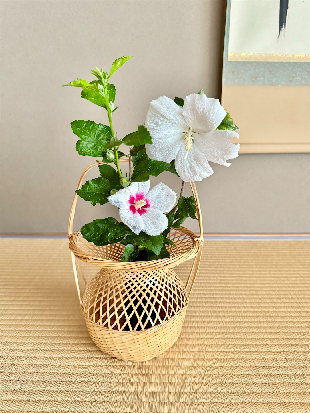 f:id:chanoyu:20240910105500j:image f:id:chanoyu:20240910105500j:image