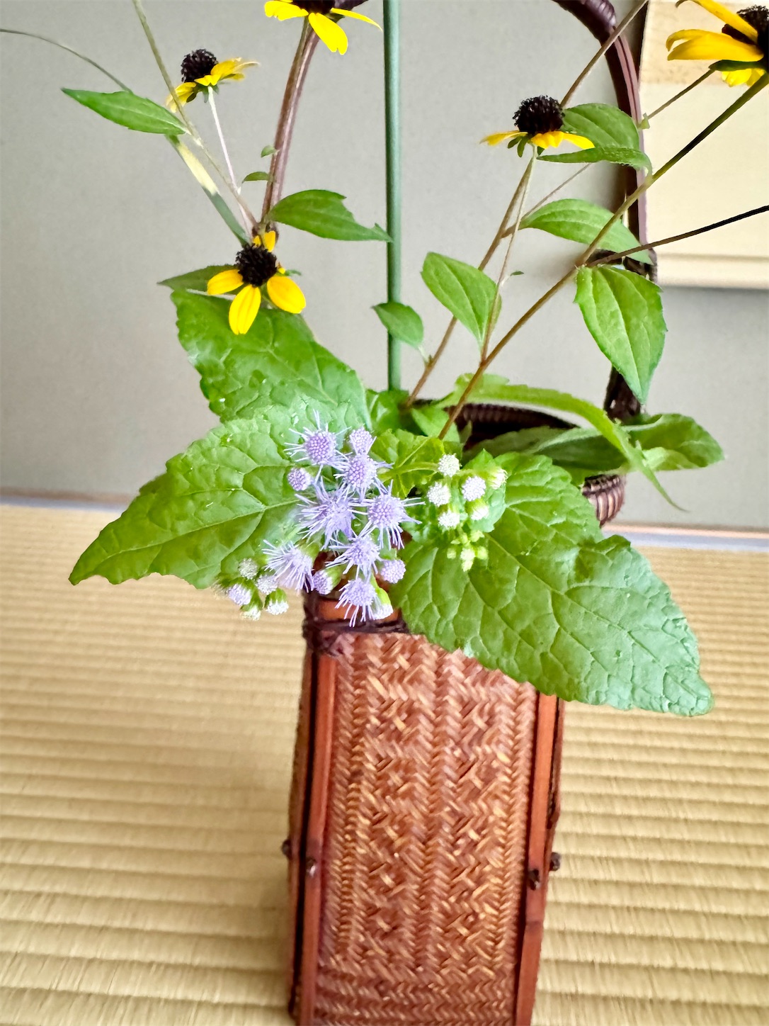 f:id:chanoyu:20241015101613j:image