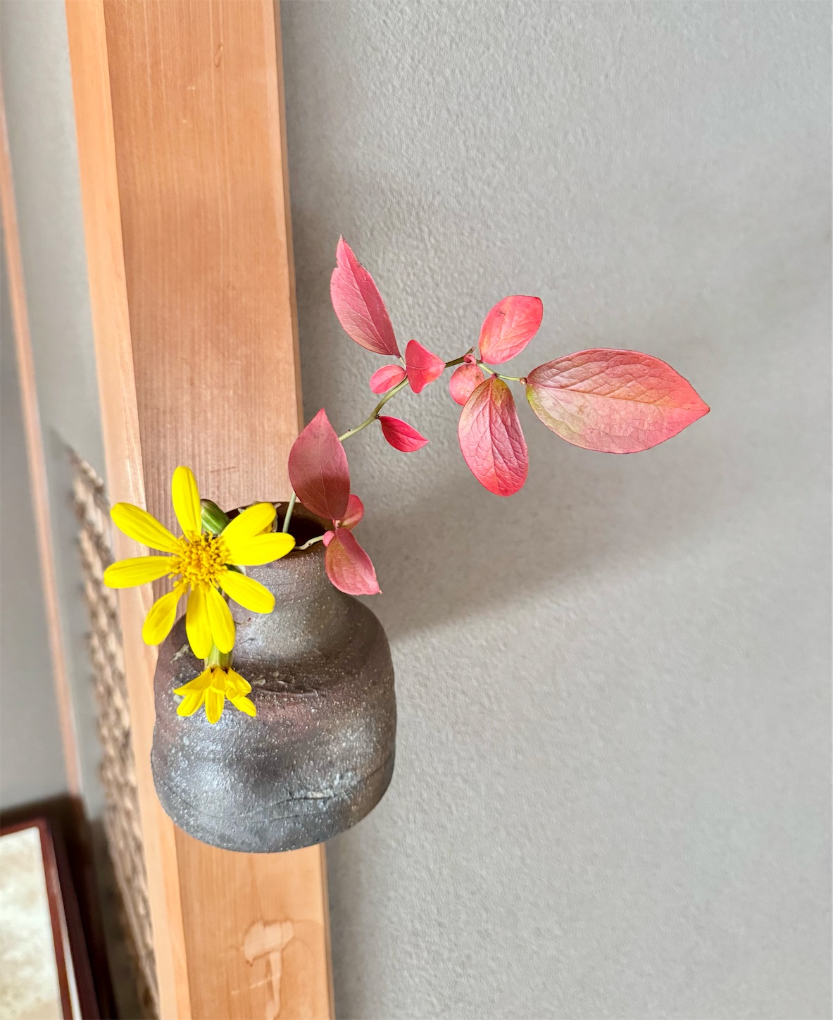 f:id:chanoyu:20241211162548j:image