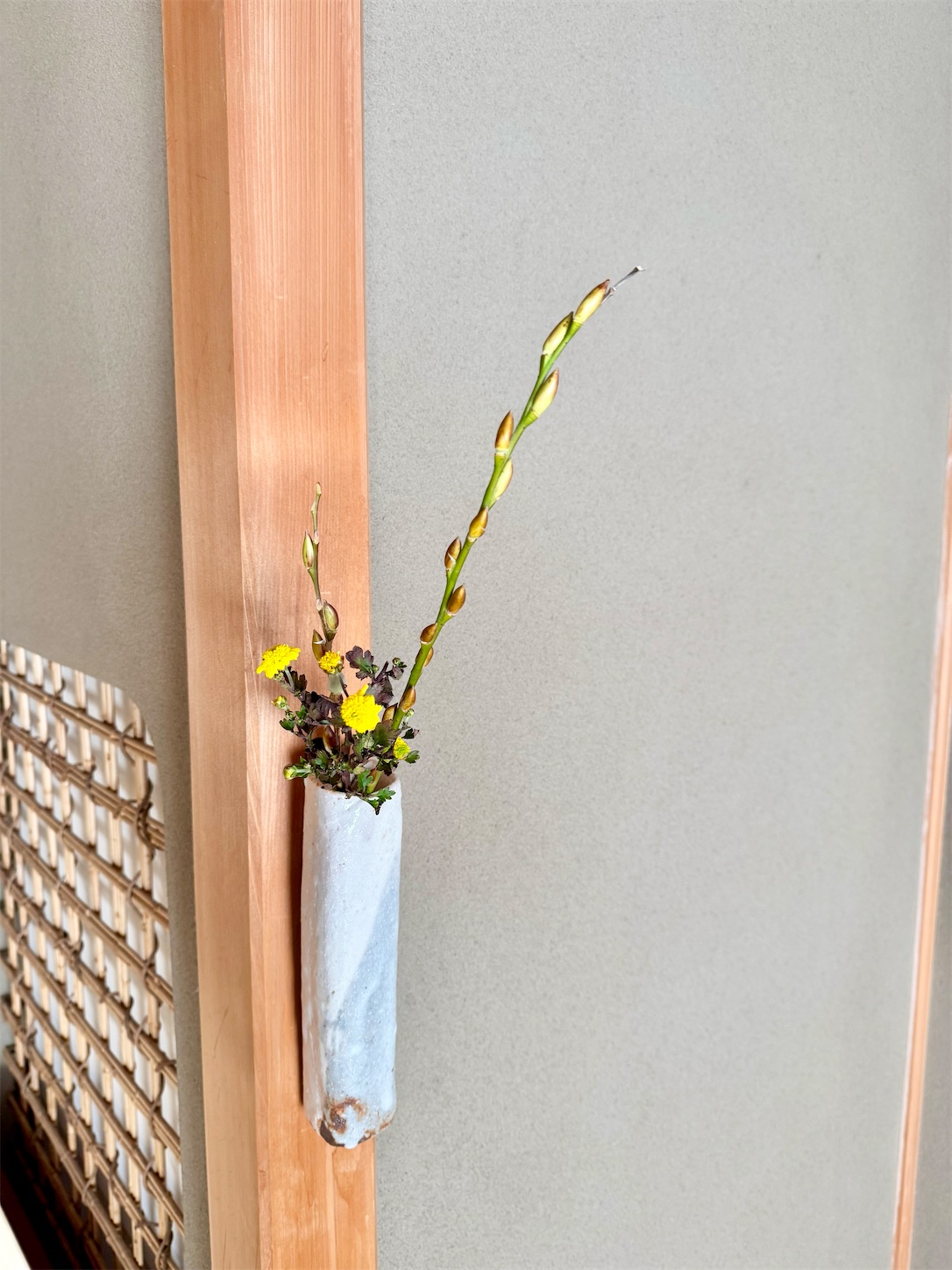 f:id:chanoyu:20241231204740j:image