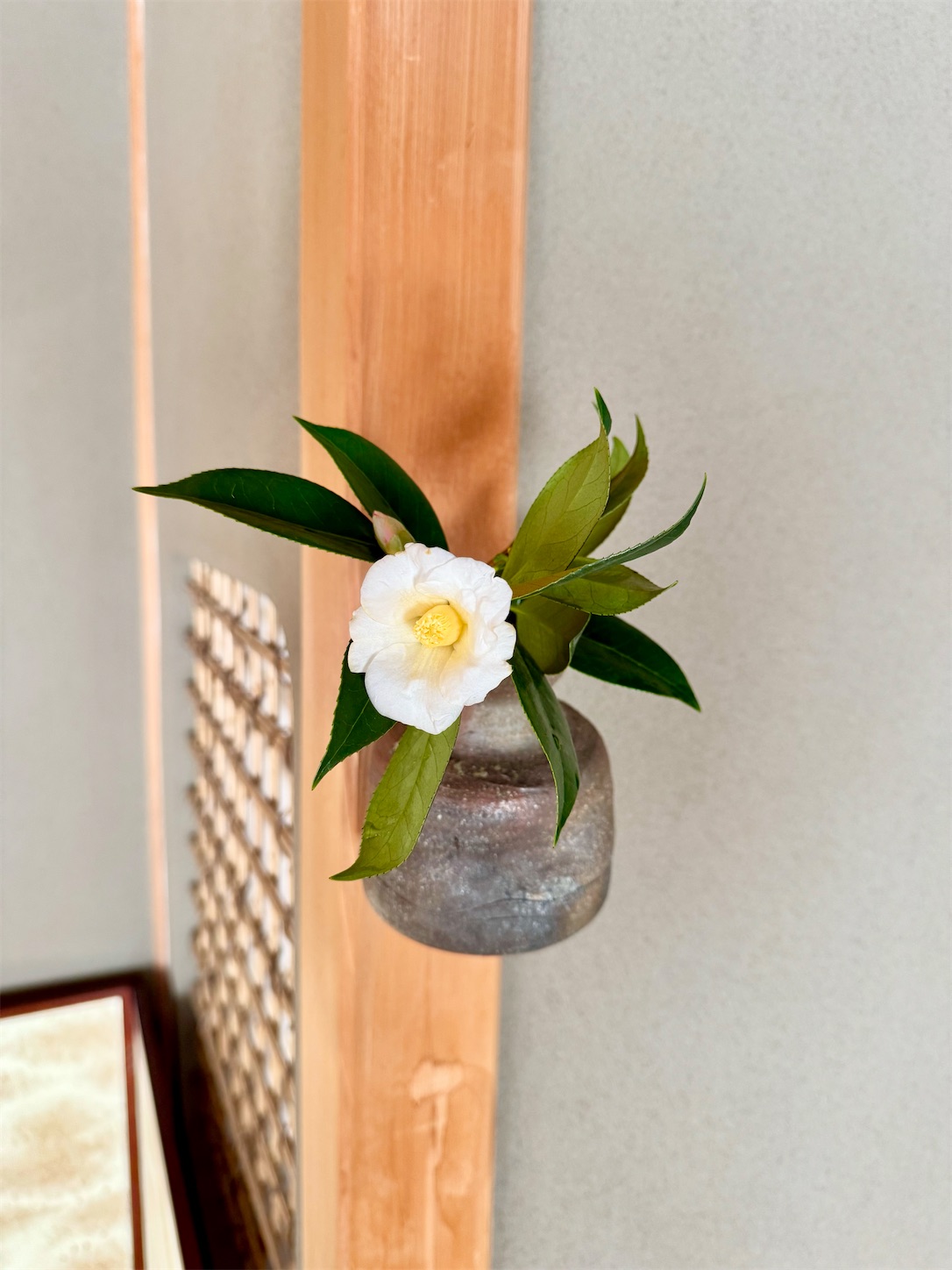 f:id:chanoyu:20241231204754j:image