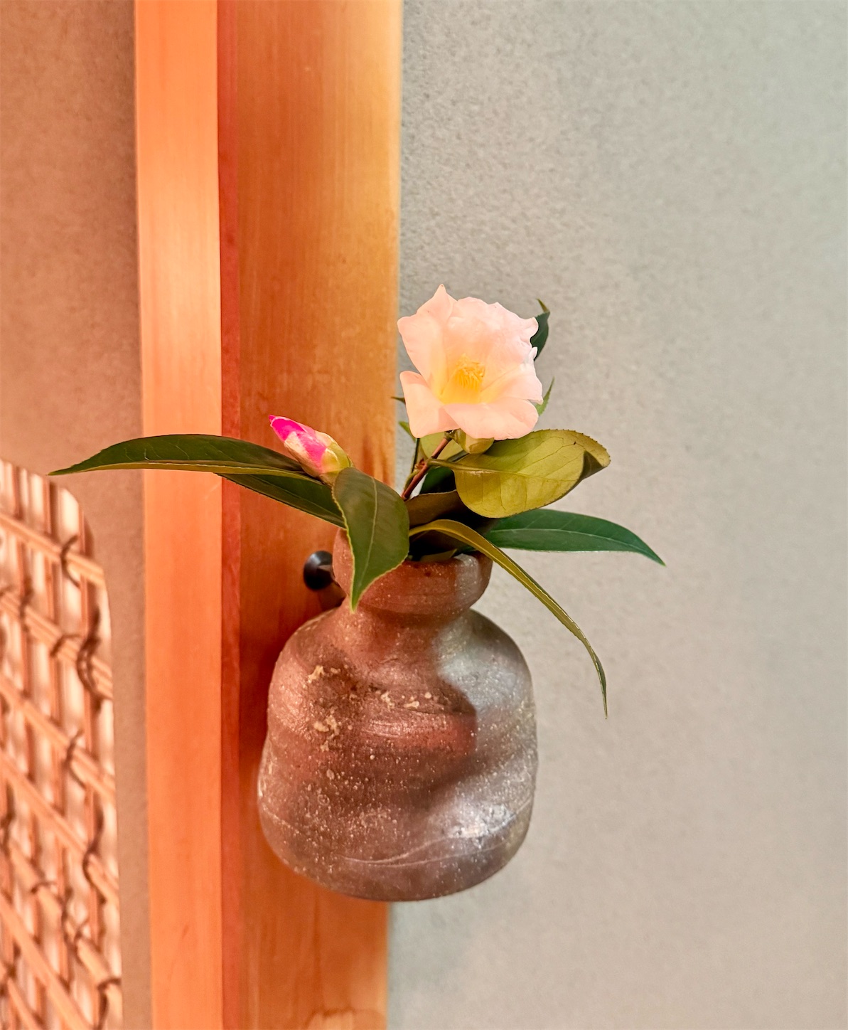 f:id:chanoyu:20250103233034j:image