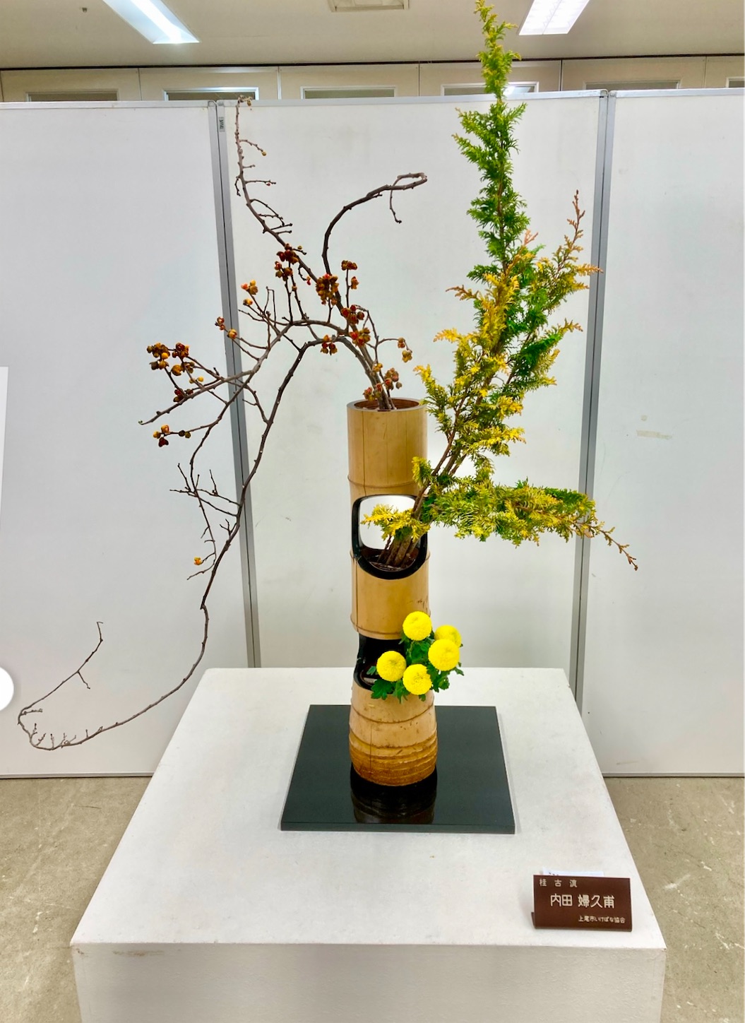 f:id:chanoyu:20250118101234j:image