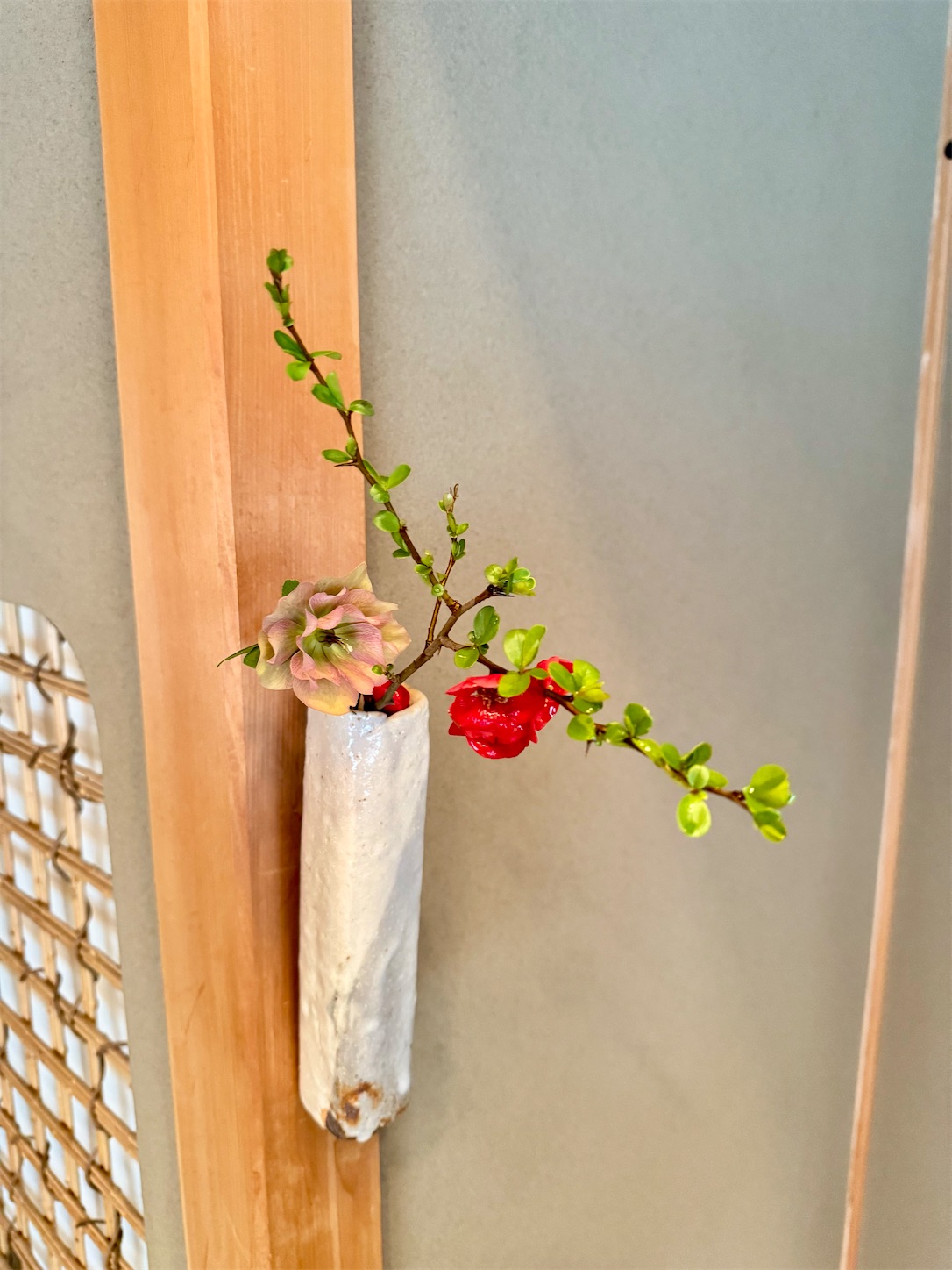 f:id:chanoyu:20250404095747j:image