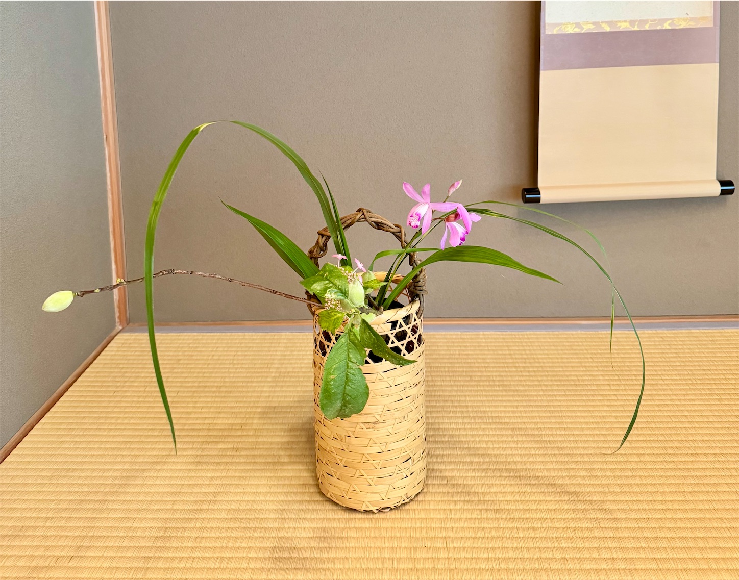 f:id:chanoyu:20250604160110j:image