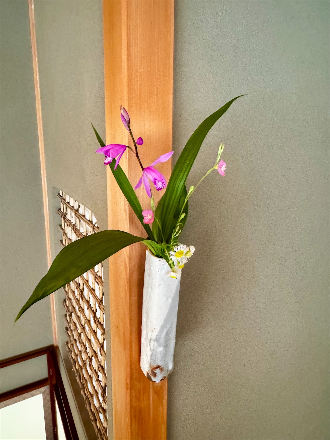 f:id:chanoyu:20260510112252j:image
