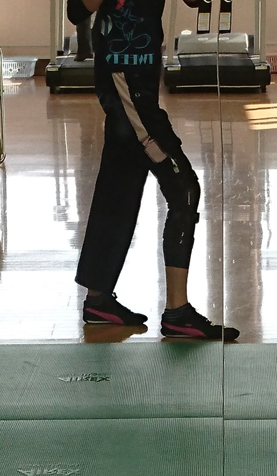 f:id:chanryo8126:20170122083408j:plain