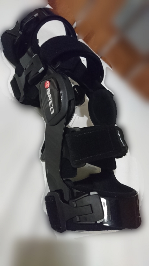 f:id:chanryo8126:20170122084205j:plain