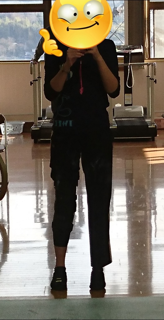 f:id:chanryo8126:20170122123426j:plain