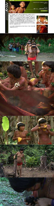 #10 Result of 原住民 裸族 われめ NHKスペシャル ヤノマミ 奥アマゾン 原初の森に生きる』 - 古書蒐集日記 (NONE of the images is related to this website.) 原住民 裸族 われめ NHKスペシャル ヤノマミ 奥アマゾン 原初の森に生きる』 - 古書蒐集日記