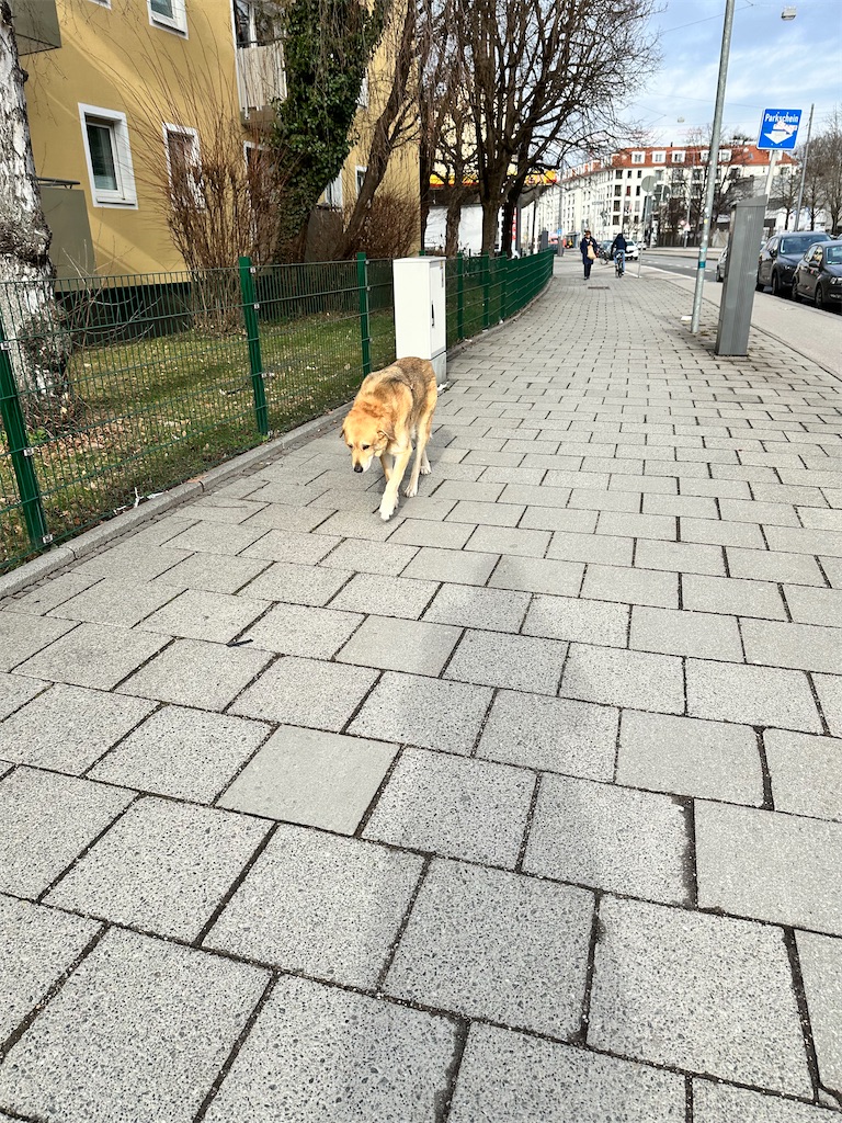 f:id:chansukegongon:20240208201925j:image