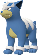 デルビル(色違い)