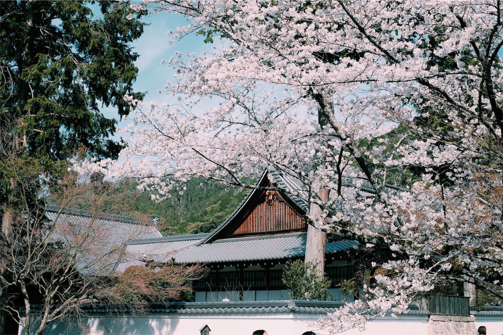 f:id:chantama015:20190414220040j:image
