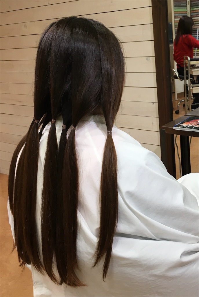 f:id:chantelu:20201207231304j:image