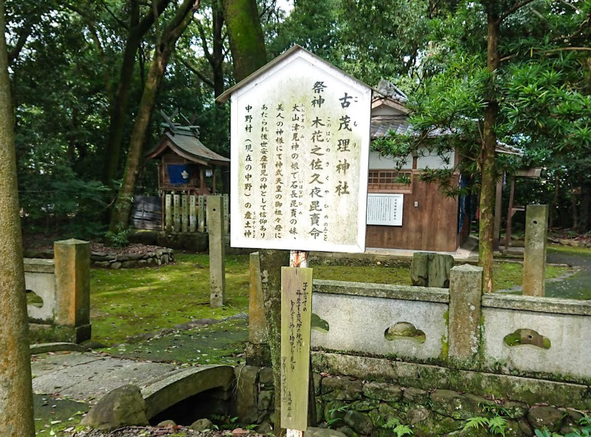 f:id:chanto_suru:20200725230457j:plain