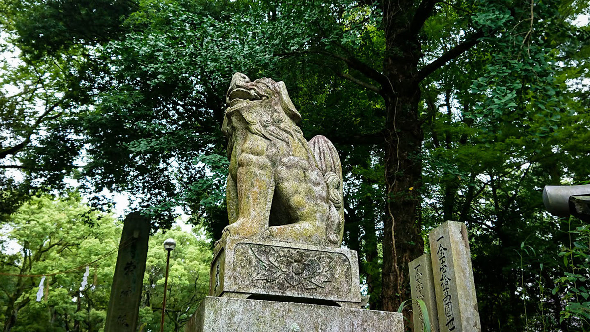 f:id:chanto_suru:20200725231733j:plain