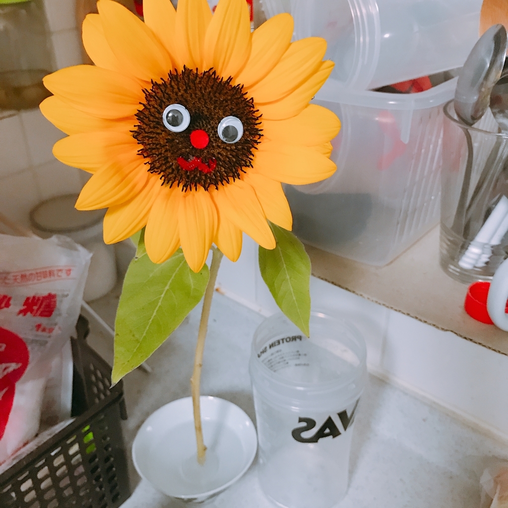 f:id:chantoku:20181219183653j:plain