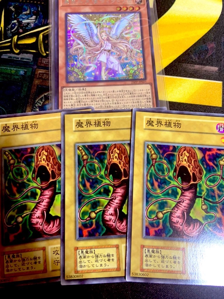 f:id:chaosnanichijou:20240905003938j:image