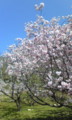 20090414221403