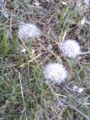 20090428175430
