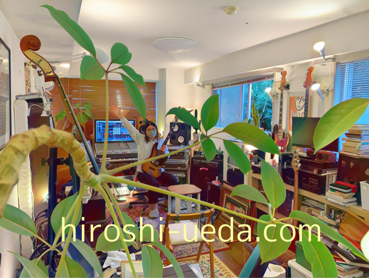 f:id:chapajama:20210116224205j:plain