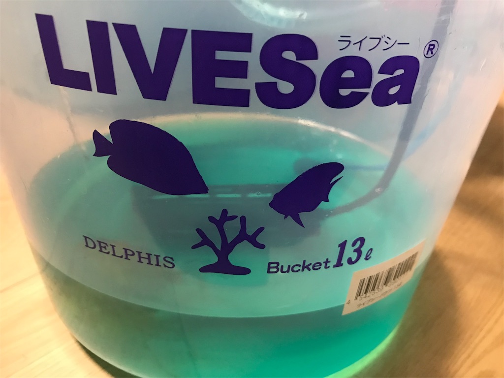 f:id:chapatychan:20191009194755j:image f:id:chapatychan:20191009194755j:image