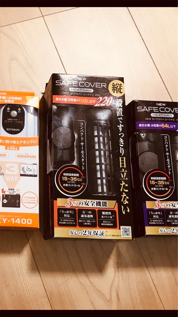 f:id:chapatychan:20191014214256j:image