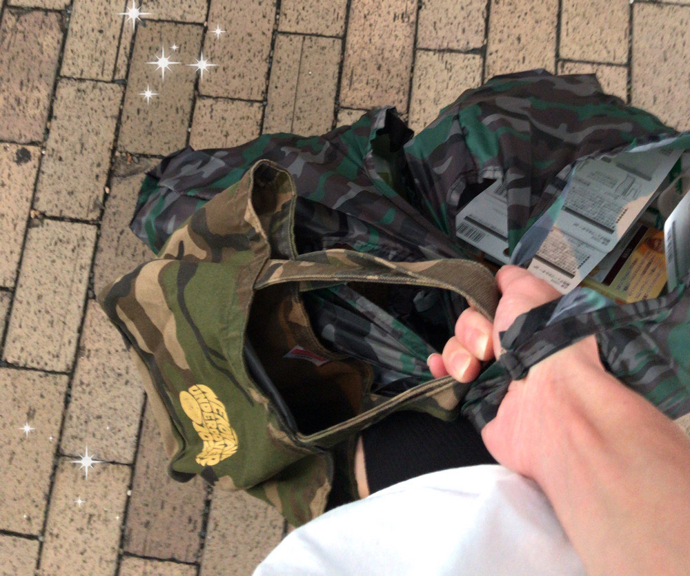 f:id:chapichapicoco:20200918062113j:plain