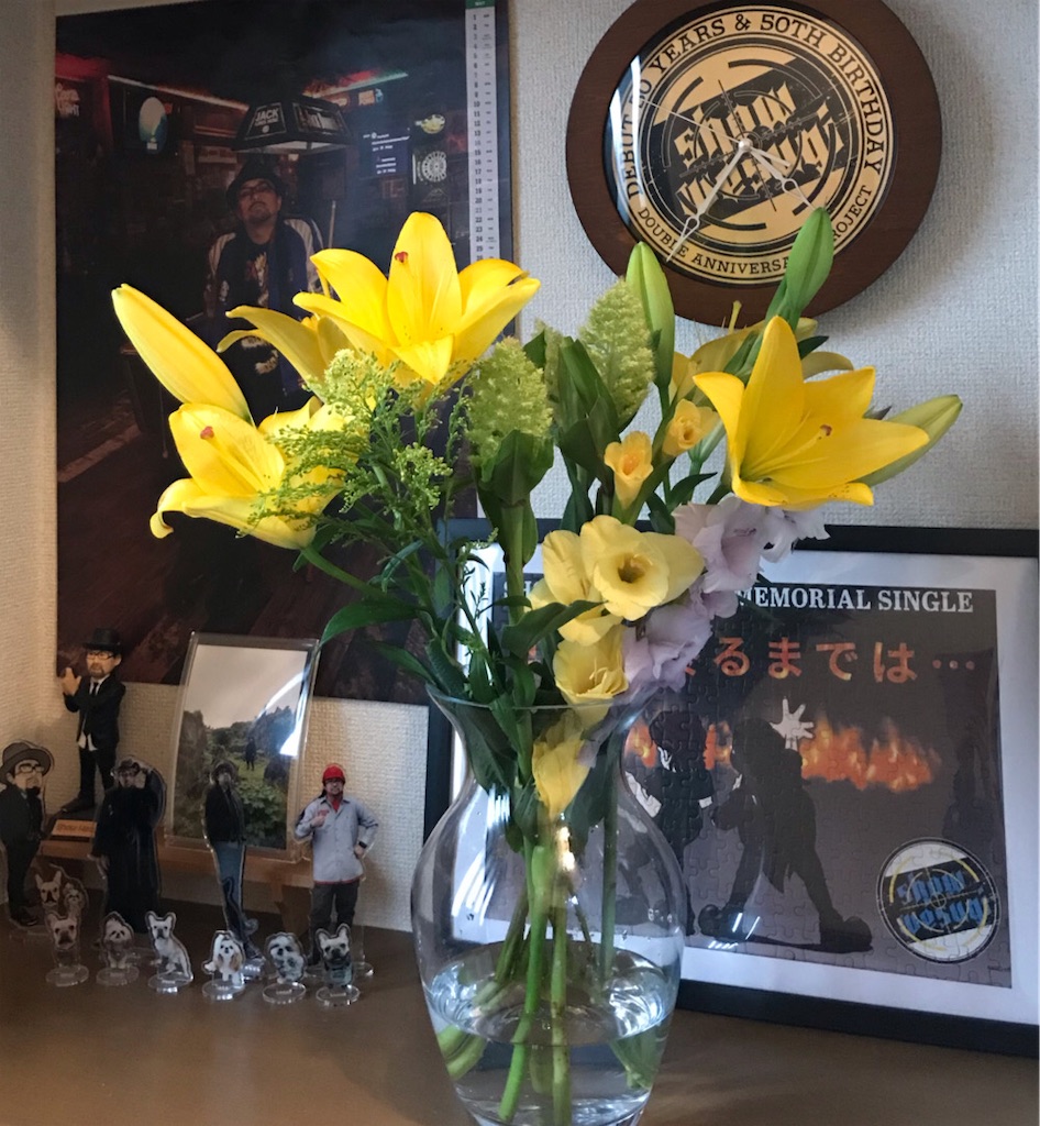 f:id:chapichapicoco:20230616052405j:image