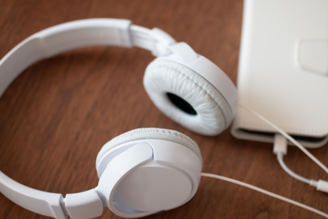 f:id:chaplin0549:20210525220546j:plain