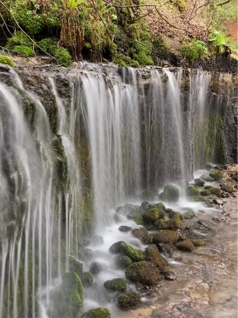 f:id:chaplin0549:20220126101612j:image f:id:chaplin0549:20220126101612j:image