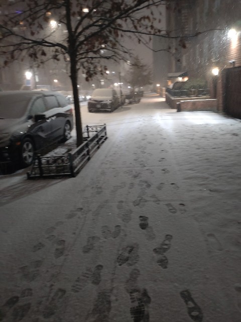 f:id:chappy0816:20250223223951j:image