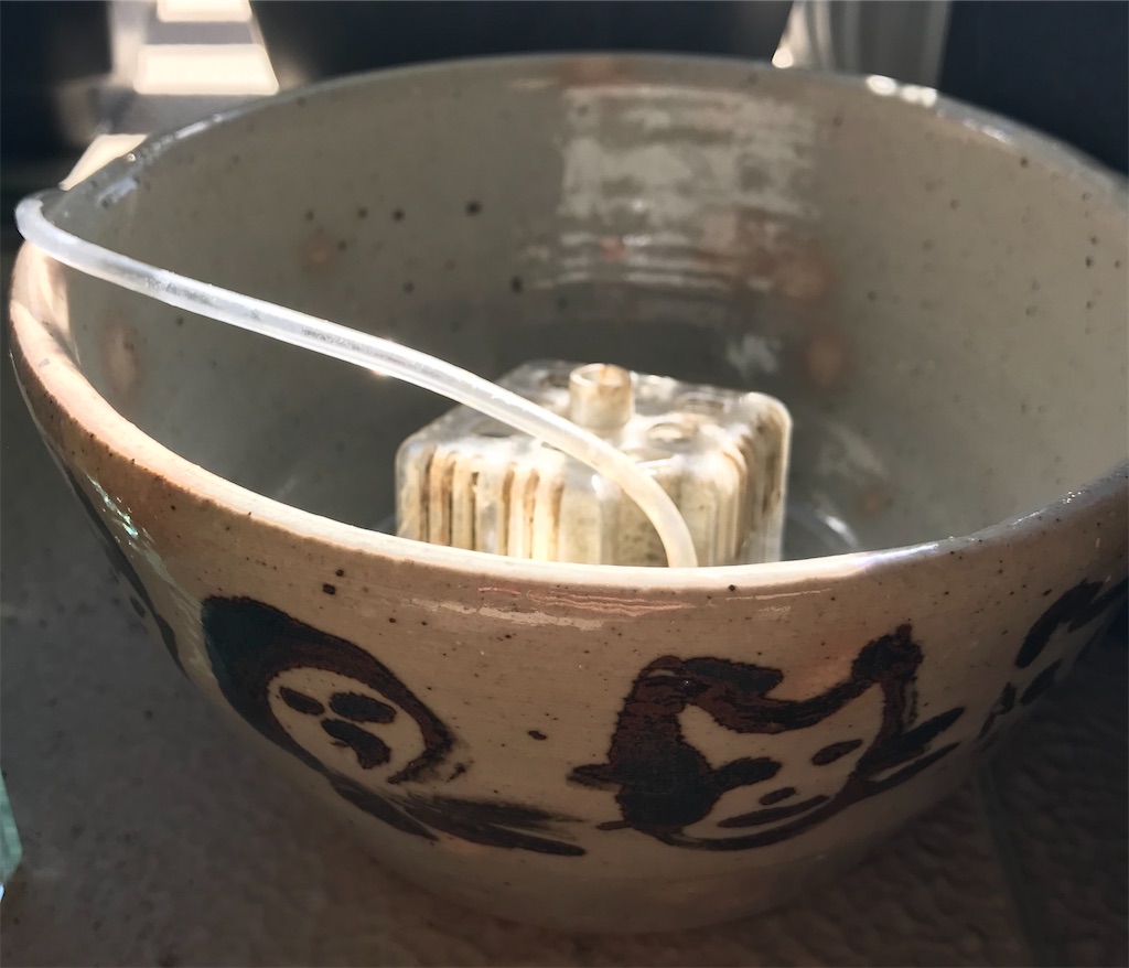 f:id:chappy8:20210218124636j:image