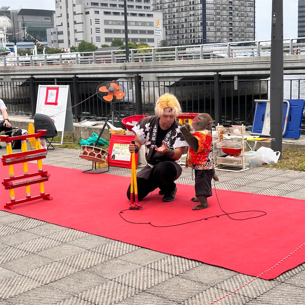 f:id:chappy8:20240520220132j:image