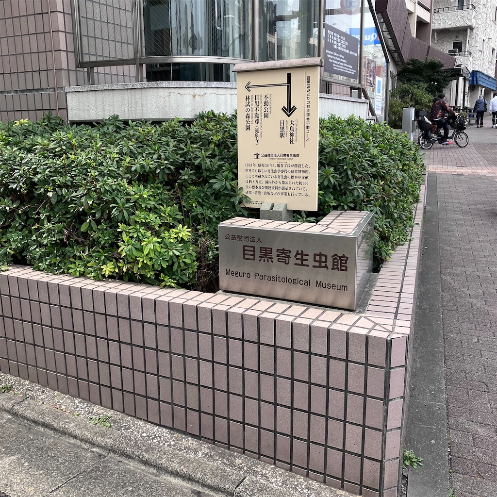 f:id:chappy8:20250130180308j:image