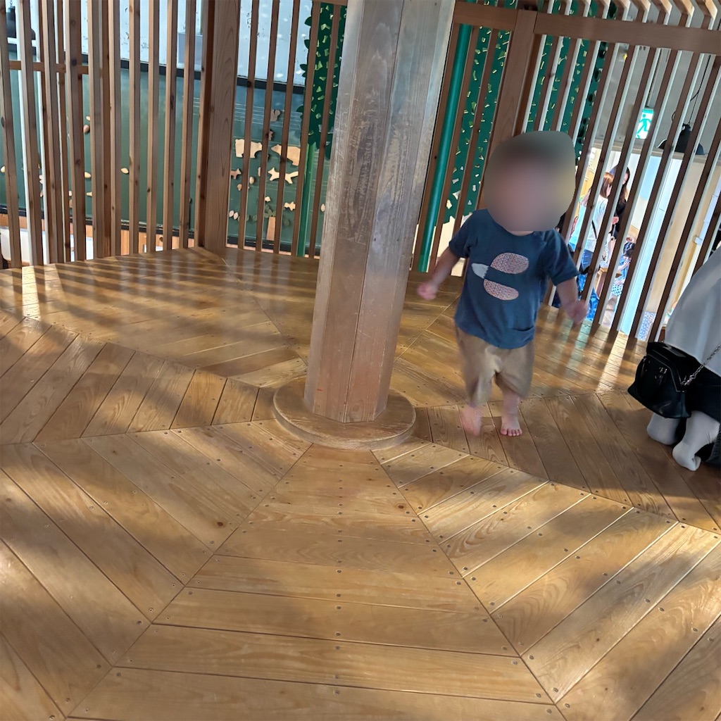 f:id:chappy8:20250528142709j:image