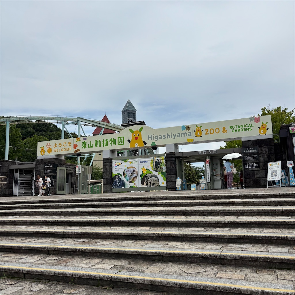 f:id:chappy8:20250616143808j:image