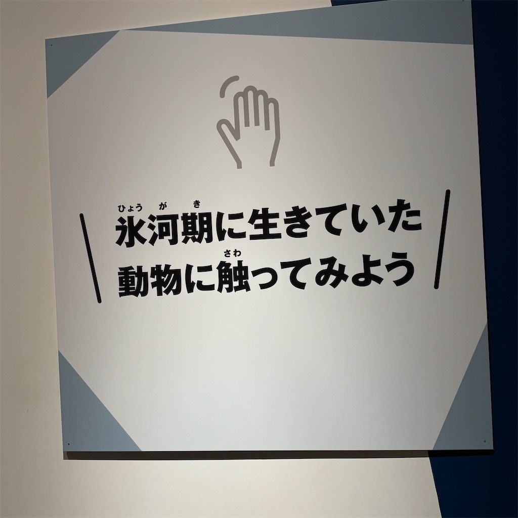 f:id:chappy8:20250824150240j:image