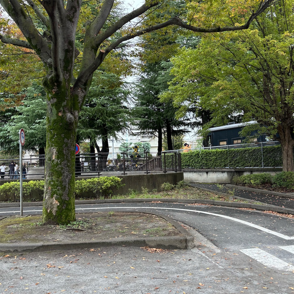 f:id:chappy8:20251101182333j:image f:id:chappy8:20251101182333j:image